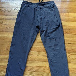 PUBLIC REC ADED PANT IN STONE GREY